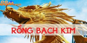 Soi Cầu 247 Rồng Bạch Kim